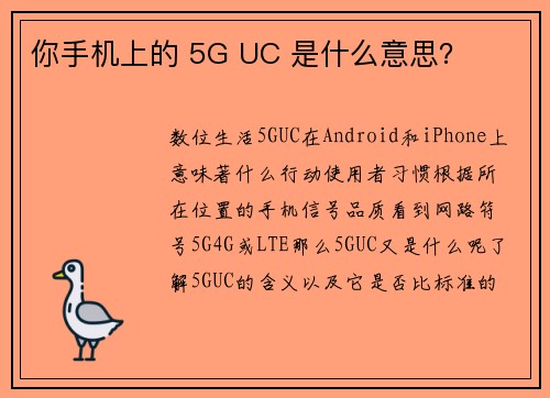 你手机上的 5G UC 是什么意思？